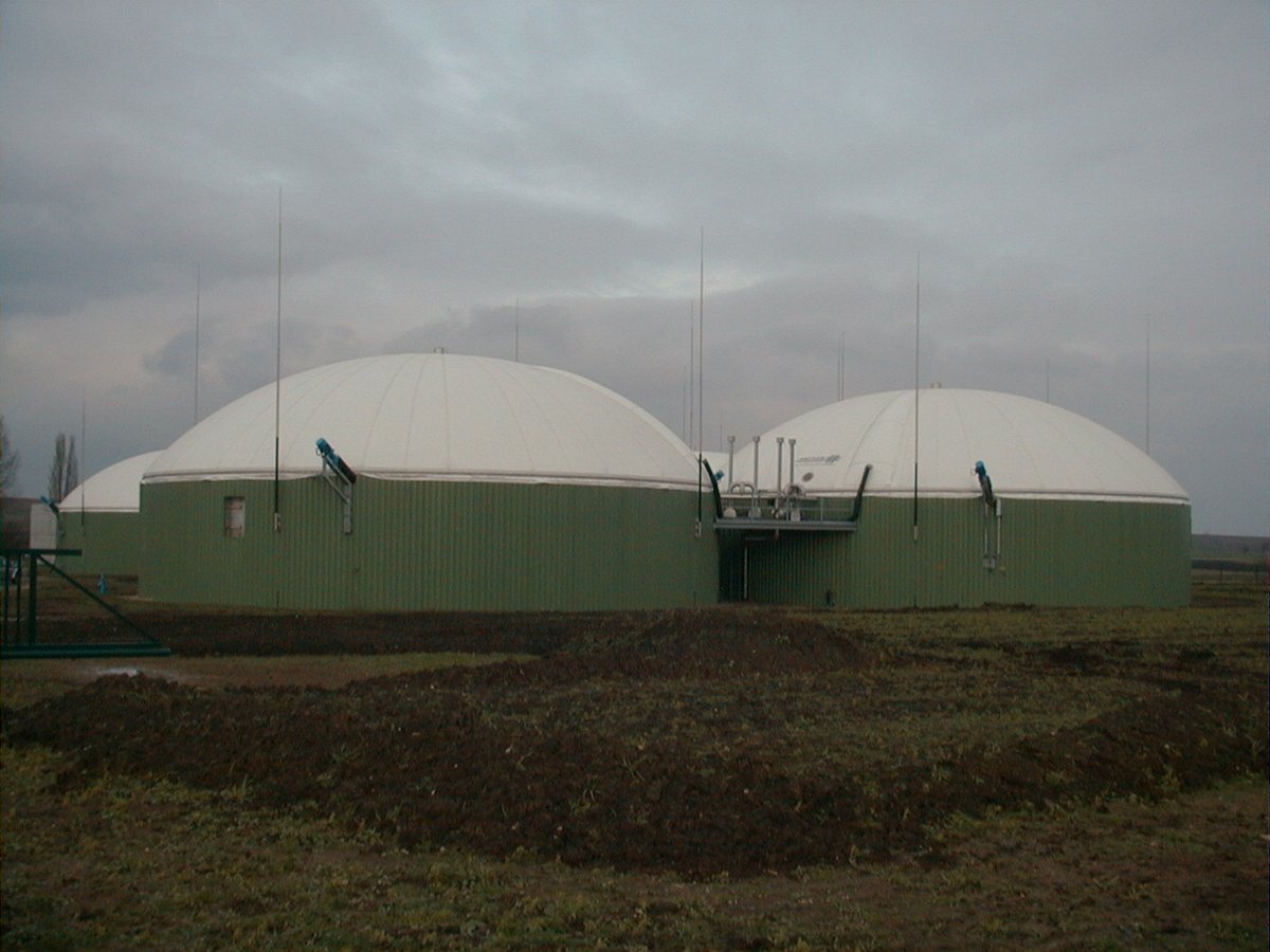 Gas and biogas