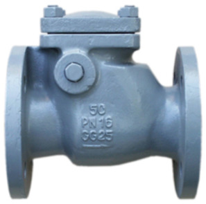 Clapeta de neretur CH030-100