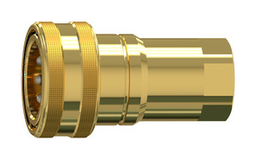 Coupling For shut-off coupling plug CICS1/2-F12-B-A