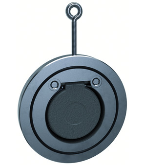 Swing check valve CS-6666T-32