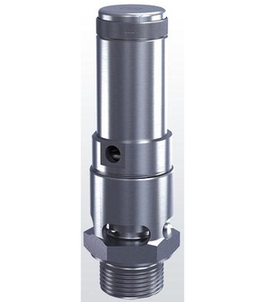 Supapă de siguranță 1"-20-6-FKM--20...200°C