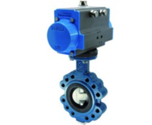 BULG-065-DSV-S22-A
