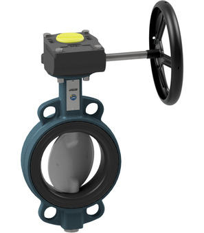 Butterfly valve with manual gear box BUW6-200-DPE-G