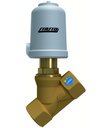 Pneumatically operated seat valve SE02-114-RT1251