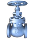 Globe valve GL102-25-W
