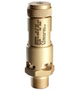 Safety valve FKM-1/2"-11-10