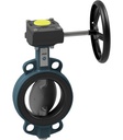 Butterfly valve with manual gear box BUW6-040-DSE-G