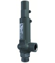 Supapă de siguranță 3/4"-16-1"-PTFE-PTFE-7,6
