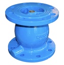 Supapă antiretur CH092-600-N-01