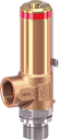 Supapă de siguranță 1/4"-6-60-PTFE
