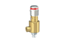 Safety valve 1/4"-6-210