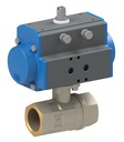 Robinet cu bilă cu actuator rotativ pneumatic BAB1-005-BLTV-D0B