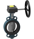 Butterfly valve with manual gear box BUW6-300-DPE-G
