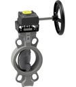 Butterfly valve with manual gear box BUW9-065-CSIS-G