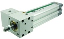 Profil magnet cilindru RWD50-125